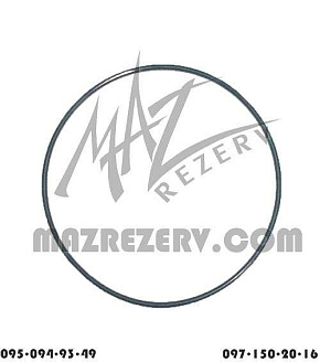 Кольцо уплотнительное задней крышки (12JS200TA)