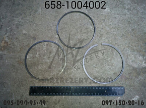 Кольца поршневые ЕВРО-3 (Кострома)