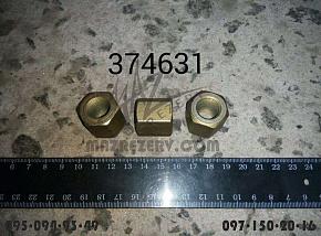 Гайка передней стремянки МАЗ-4370 (М14х1,5) (Беларусь)