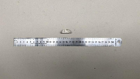 Шпонка полукруглая