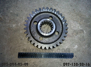 Шестерня ведомая нов. обр. (Z=33) МАЗ-5440,6430 (МАЗ)