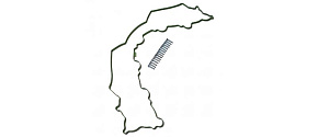 Р/к клапанной кришки ЯМЗ-536 (ТМЗ)